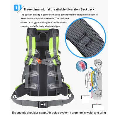 64cm der grünen wasserdichten wandernden leichter die Reise-Rucksack 40L Rucksack-Frauen