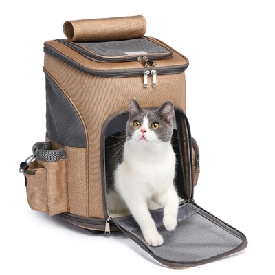Mode-wasserdichte Reise-Haustier-Fördermaschinen-Taschen-stützbare Haustier-Reise-Laufkatze im Freien